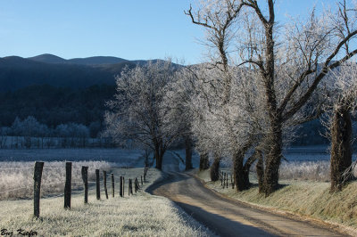 Sunlight Touching the Frost - Cades Cove 