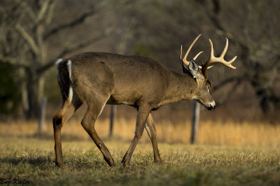 Nearing the End of the Rut