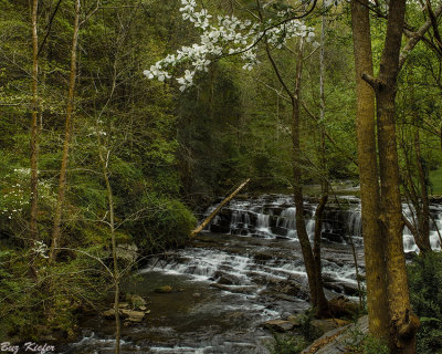 Spring on Cove Creek