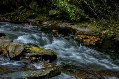 Along Walker Camp Prong 