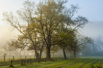 Dawn on Sparks Lane