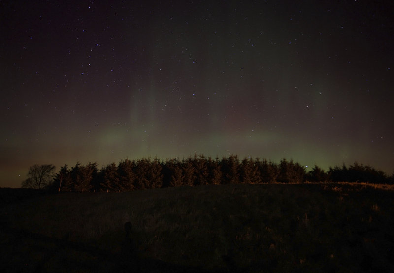 Aurora3.jpg