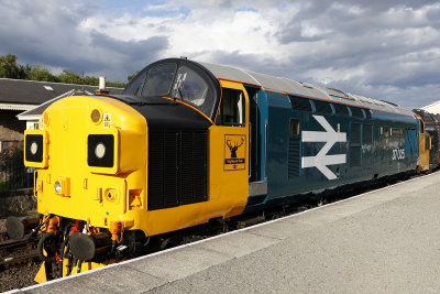 37025.jpg