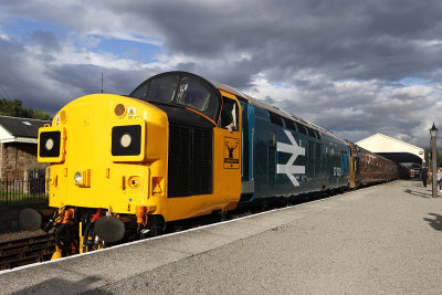 37025-1.jpg