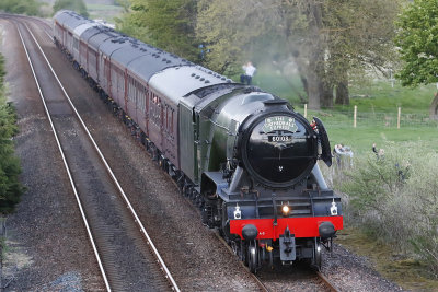 FlyingScotsman1.jpg