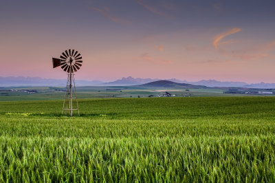 Windmill in Wheatfield