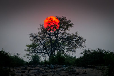 Botswana Moon