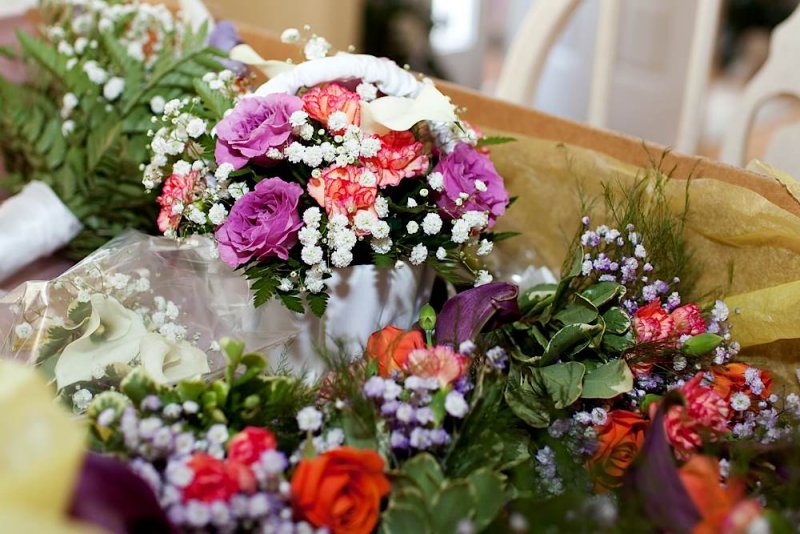 _MG_9620.jpg