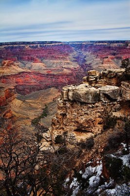 IMG_9481.jpg