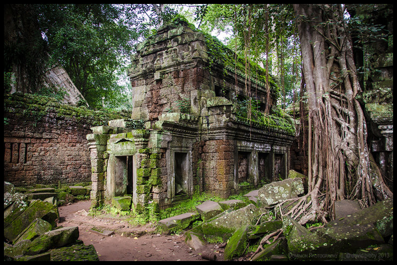 Ta Prohm 6