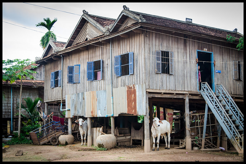 Angkor Ban life 2