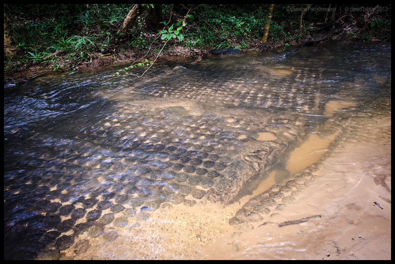 Kbal Spean - The River of a Thousand Lingas