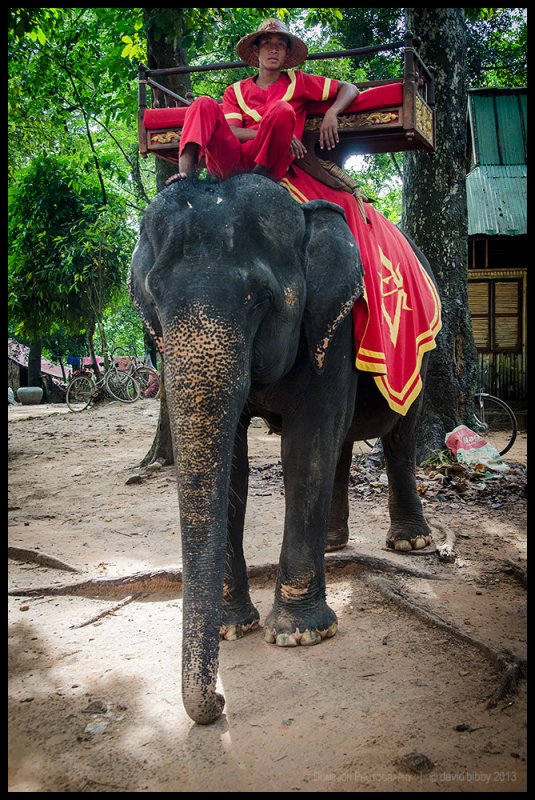Angkor Thom - They're awesome, but don't ride the elephants