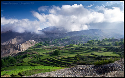 Irrigated terraces at Jharkot