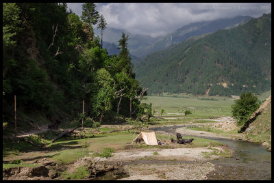 Buffalo herders on the Gogane Khola