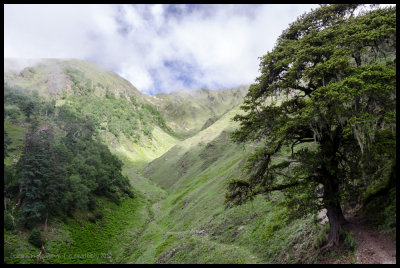 The path leads up to the pass