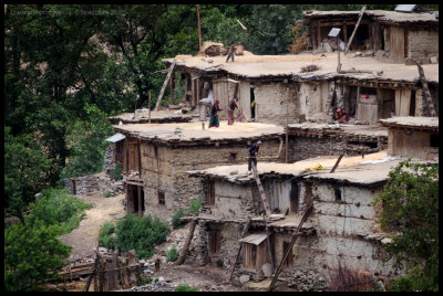 Threshing in Naula 1