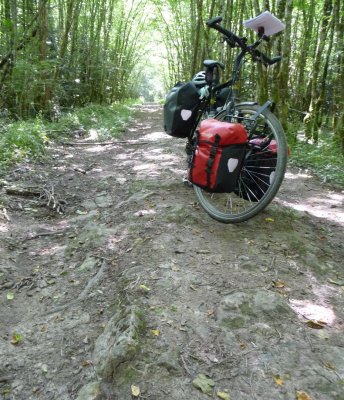 Voie romaine entre Lormes et Vzelay.