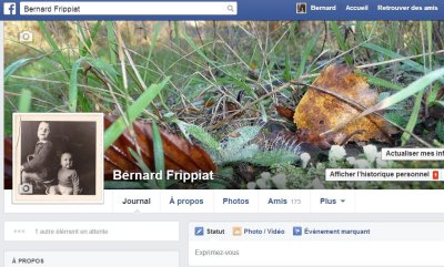 https://www.facebook.com/bernard.frippiat