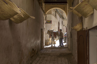 Fez - Morocco