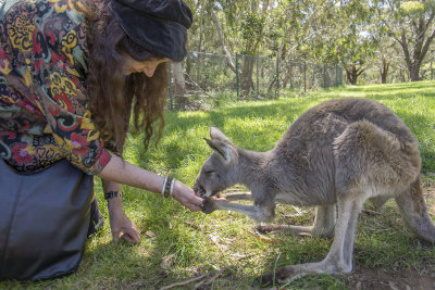 Cleland Wildlife Park