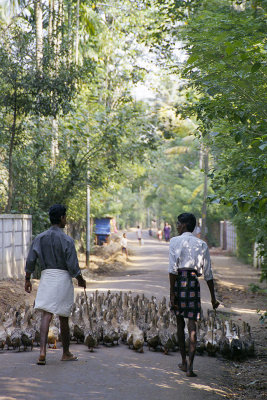 Kerala 1999