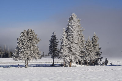 Yellowstone