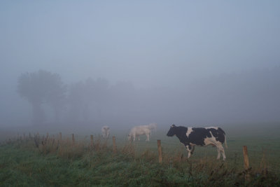 West Zeeuws-Vlaanderen