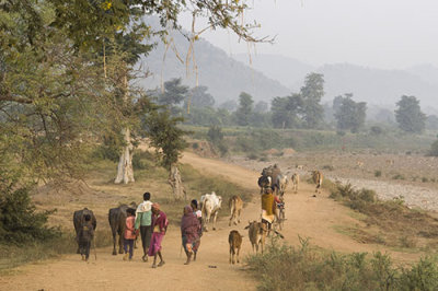 Kawardha - Chhattisgarh - India