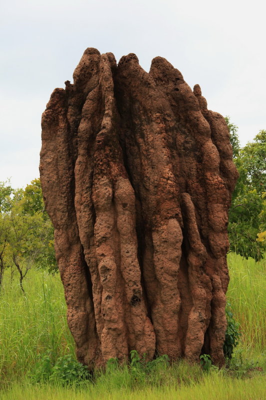 Magnetic termite mound