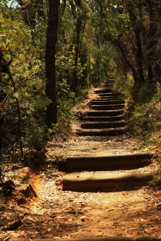 A walk in the Blue Mountains