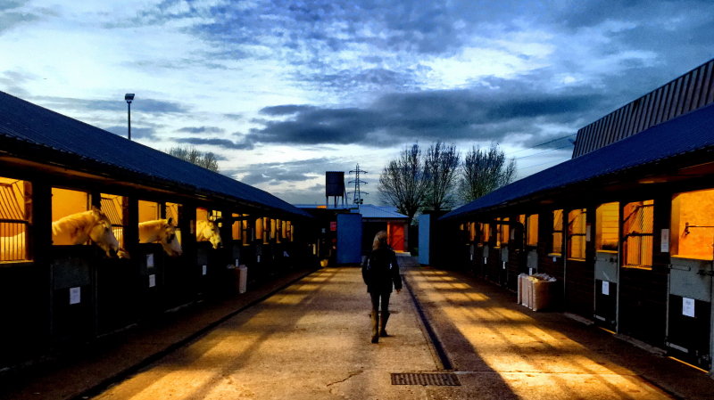 Lee Valley Riding School