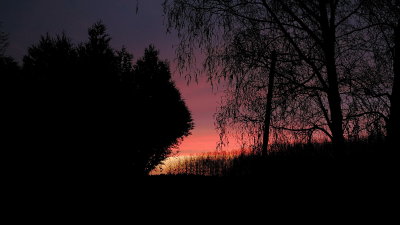 Evening light