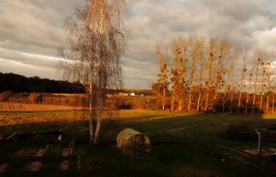 Evening sun