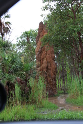 Magnetic termite mound