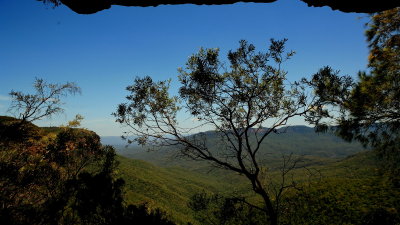 A walk in the Blue Mountains