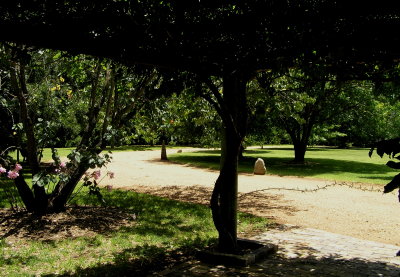 Armidale