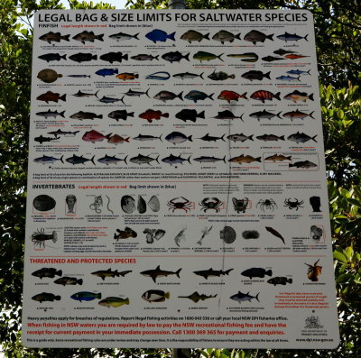 Fishing rules