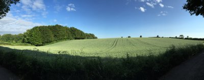 Rural Oxfordshire