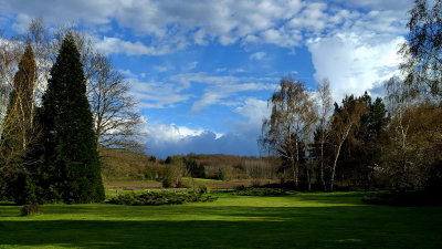 French garden