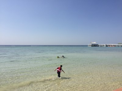 Swim