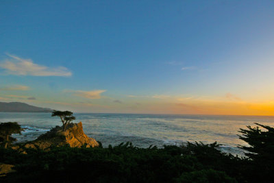 Lone Cypress Monterrey 3368fix800.jpg