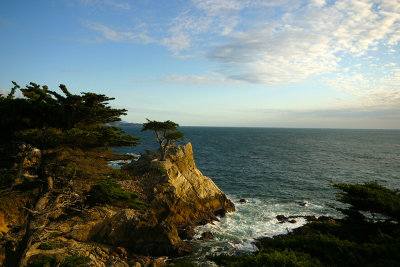 Monterrey Lone Cypress Tree 1415fixweb.jpg