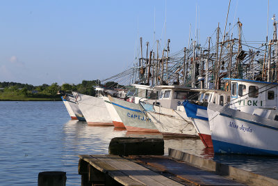 San Leon Shrimp Boats 7183fixweb.jpg