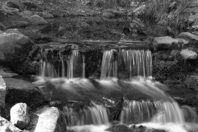 Fern Springs Yosemite 1112fix .jpg