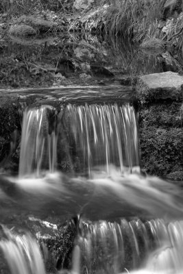 Fern Springs Yosemite1113fix .jpg