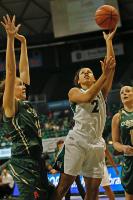 COLORADO STATE