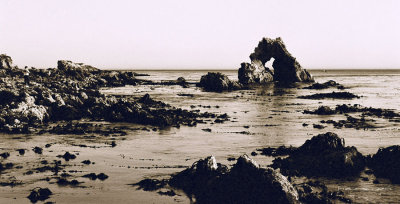 delmar7.jpg