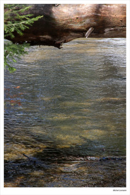 Ruisseau-26w.jpg