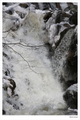 Chute-20w.jpg